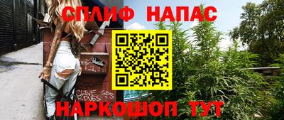 шишки Баксан